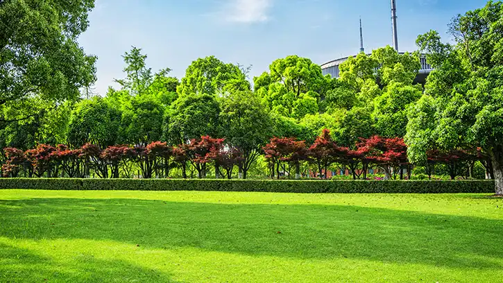 Smart World One Dxp Apartments